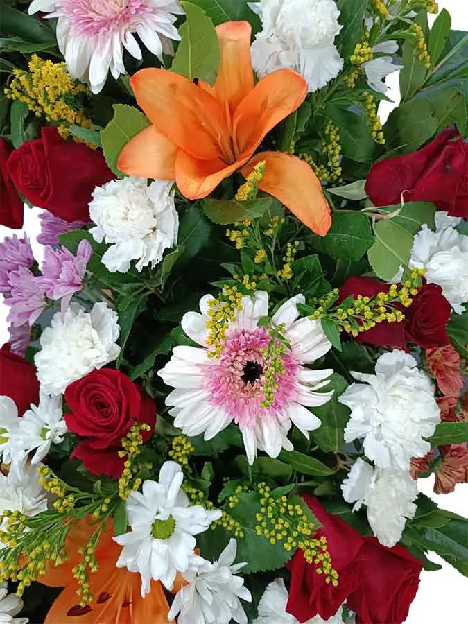 corona-funeral-SERVISA-para-funeral-Madrid-precio corona-funeral-SERVISA-para-funeral-Madrid-precio